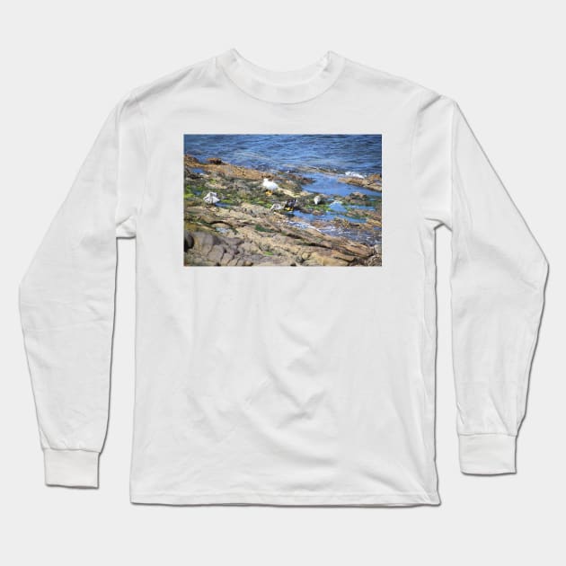 Kelp Goose Family Falkland Islands Long Sleeve T-Shirt by Carole-Anne